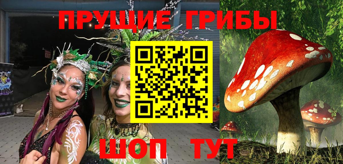 Глазов  Псилоцибиновые грибы мицелий  Вход с VPN 