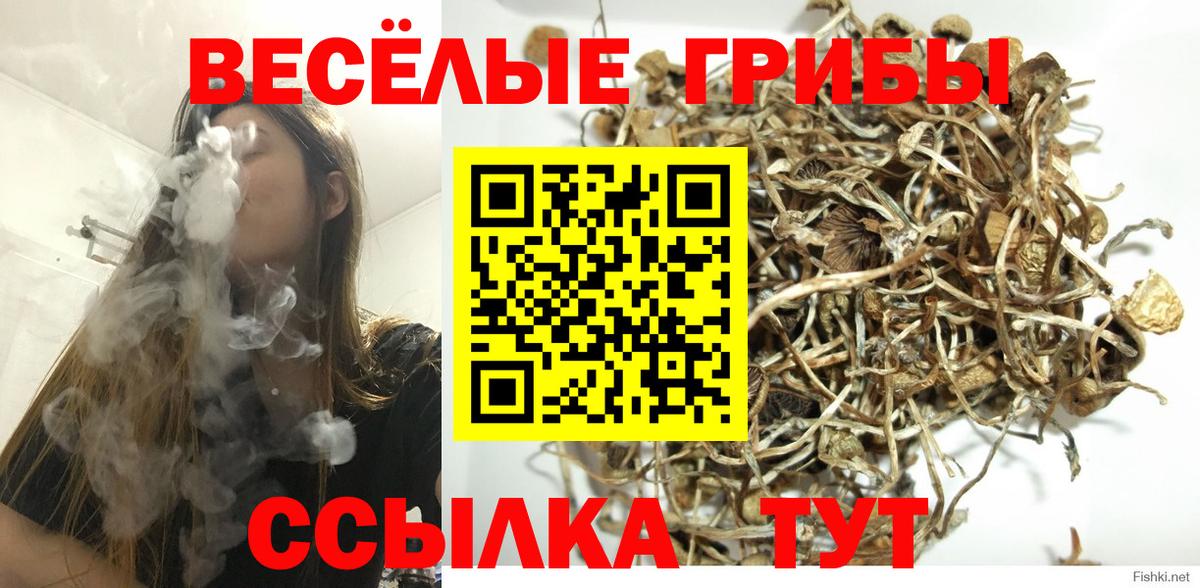 Псилоцибиновые грибы ЛСД Глазов